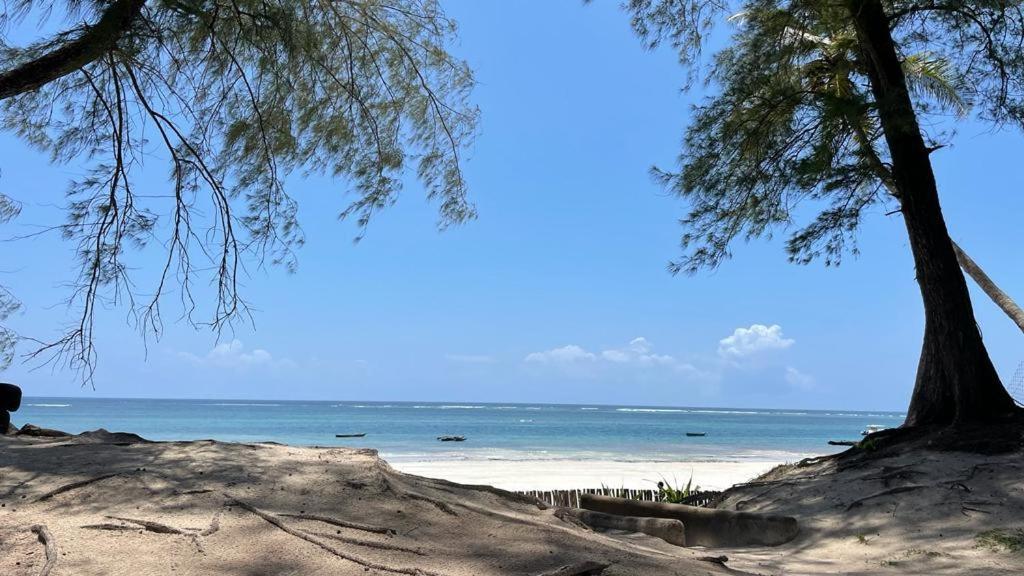 The Pool House & The Colobus House, Bella Seaview, Diani Beach, Kenya Eksteriør billede